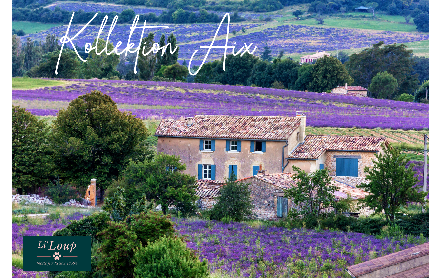 Kollektion Aix en Provence